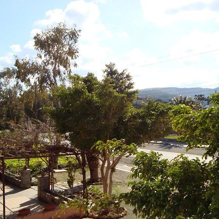 Athina Hotell Rethymno Eksteriør bilde