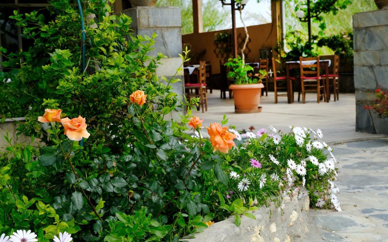 Athina Hotell Rethymno Eksteriør bilde